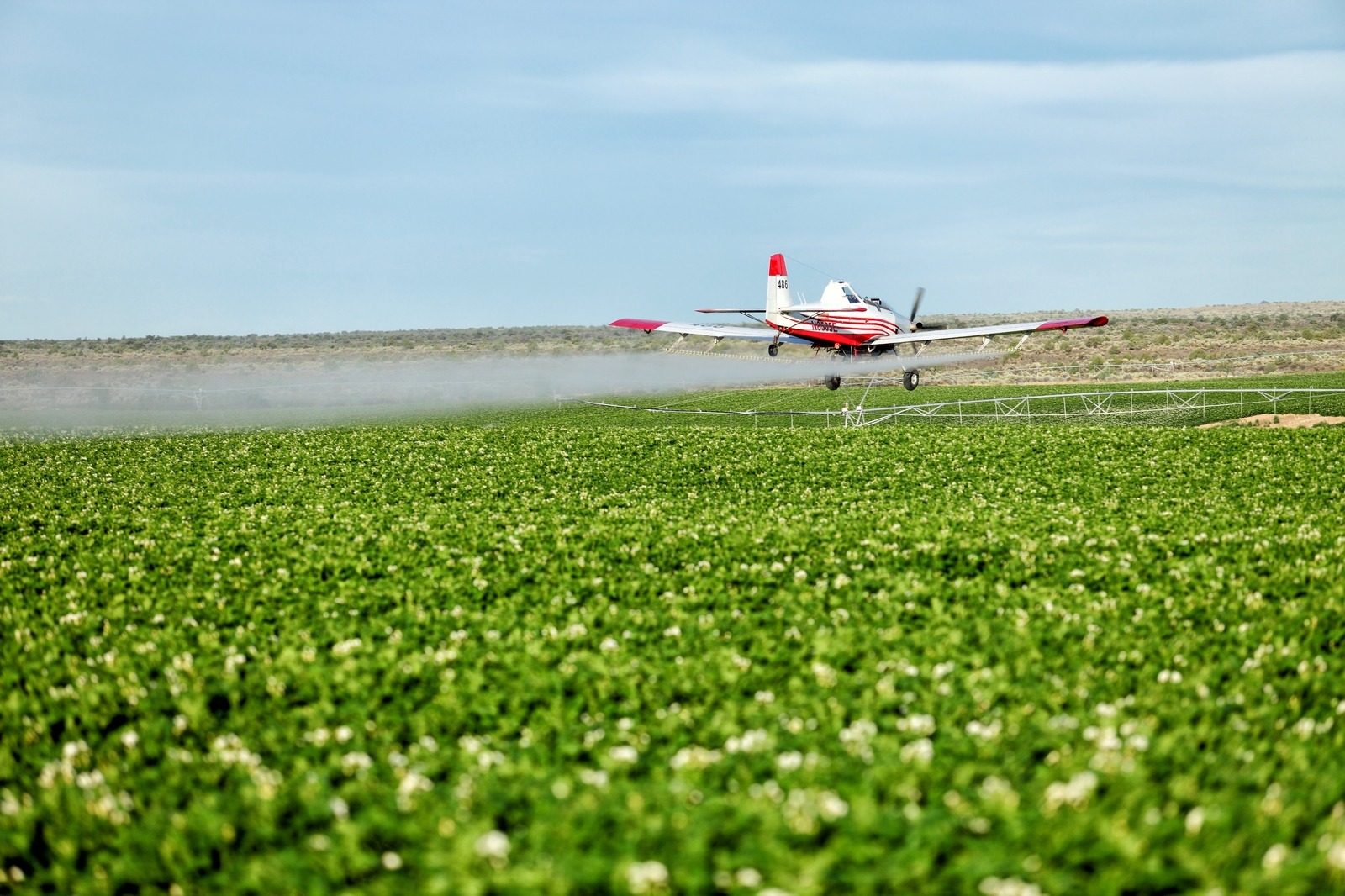 A low-flying crop duster sprays green farmland in Idaho Falls, Idaho on August 16, 2012. Photo by B. Brown/Shutterstock