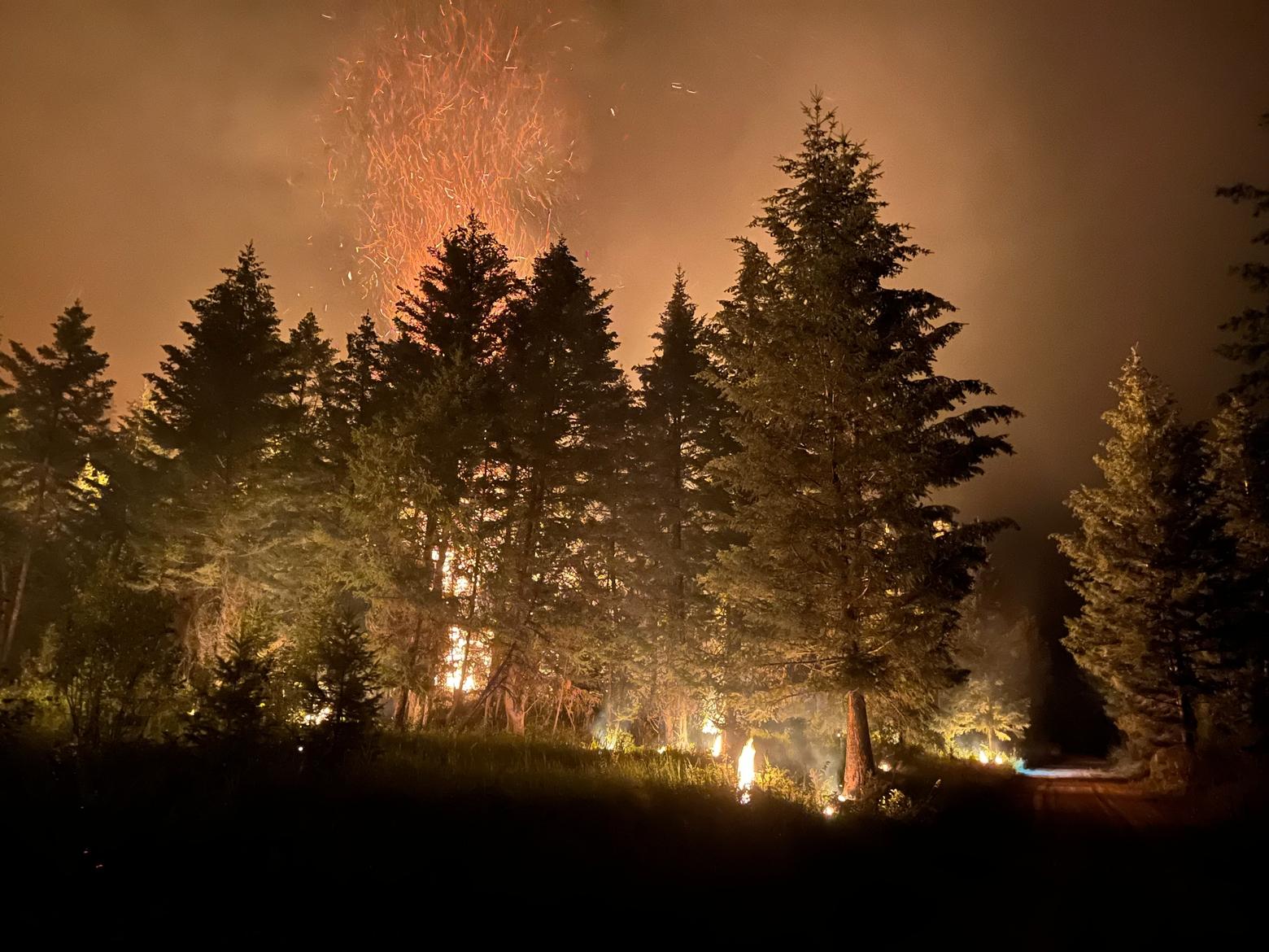 1 million burning embers: A column of fire burns above tree level in Montana. Kate Tirrell and her Helena Hotshot crew responded. Photo courtesy Kate Tirrell