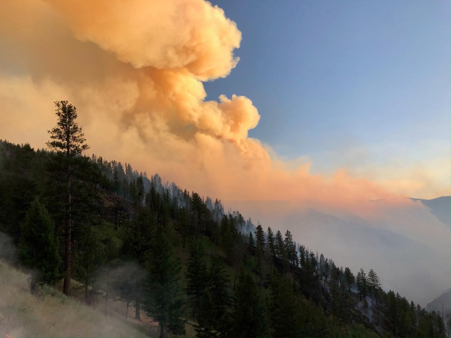 The Moose Fire burns the dramatic topography around Idaho’s Salmon River in 2022. Ignited by an unattended campfire, the Moose Fire was the largest wildfire in the country during the summer of 2022, burning 130,235 acres over the course of four and a half months. Photo by Kate Tirrell