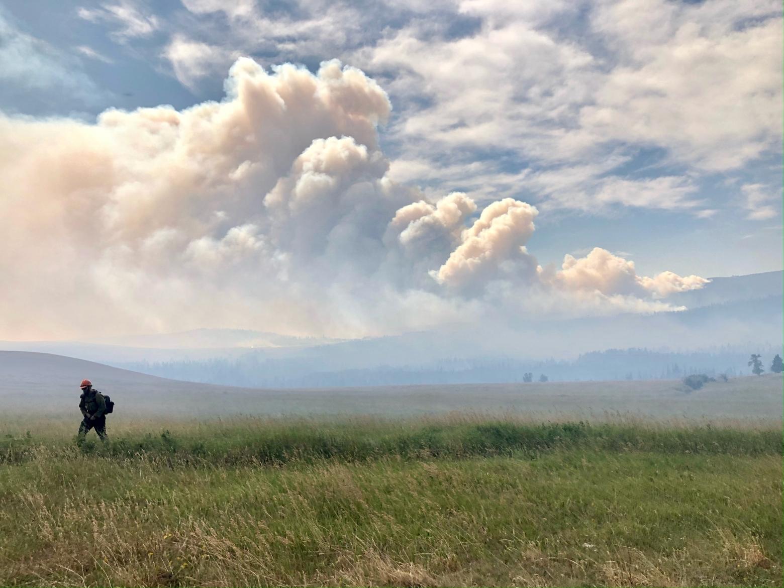 A wildland firefighter is backdropped by smoke from the 2021 Woods Creek Fire outside White Sulphur Springs, Montana, August 2021. Photo courtesy Kate Tirrell