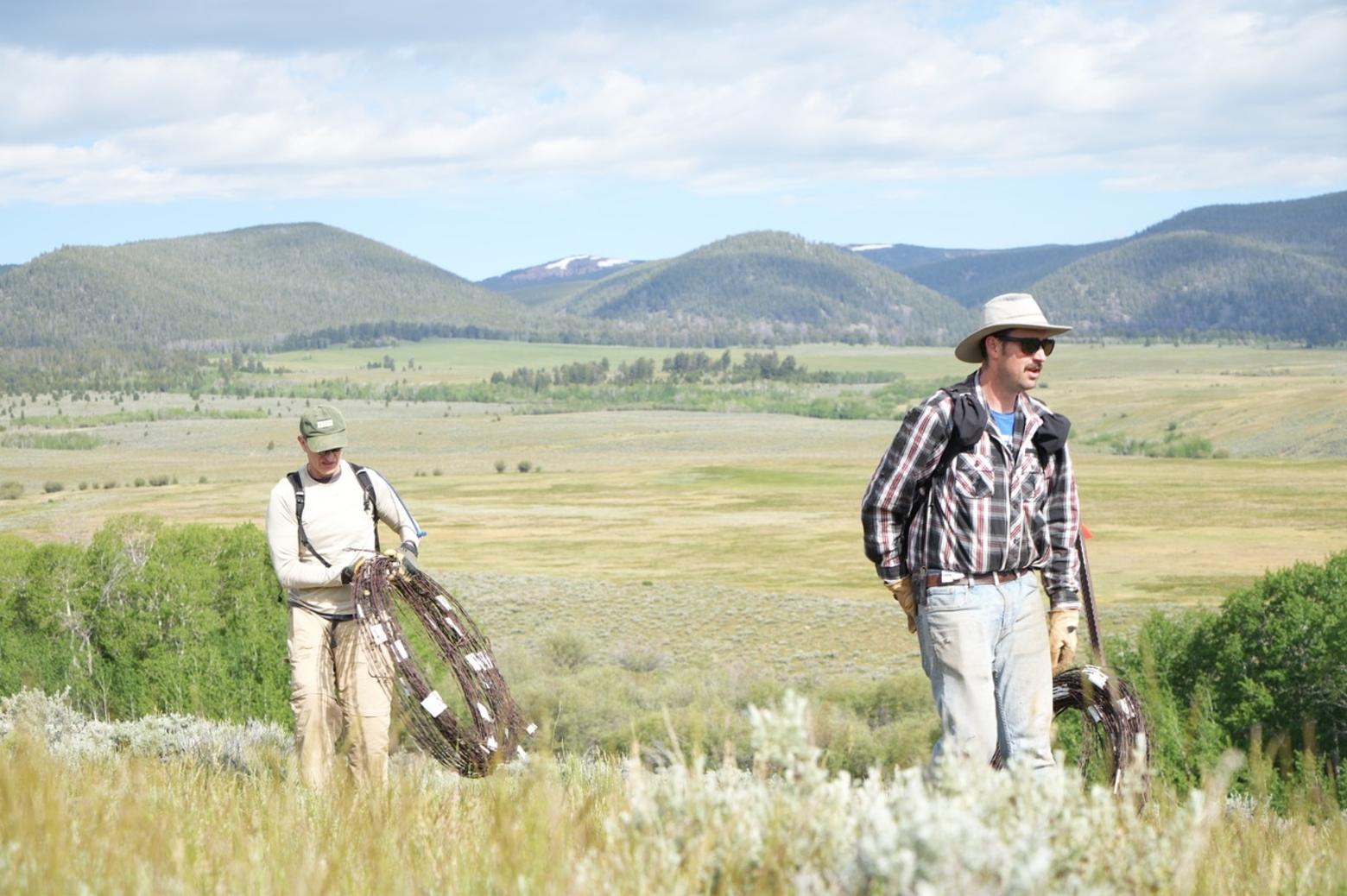 The National Wildlife Federation and their partners have removed 25 miles of fencing in the High Divide since work began in 2021. Photo courtesy Montana Backcountry Hunters and Anglers