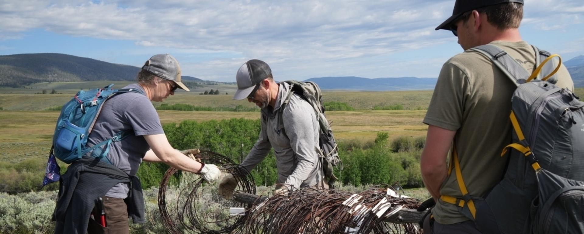 Removing fences in the Great Divide area between Yellowstone and the Crown of the Continent