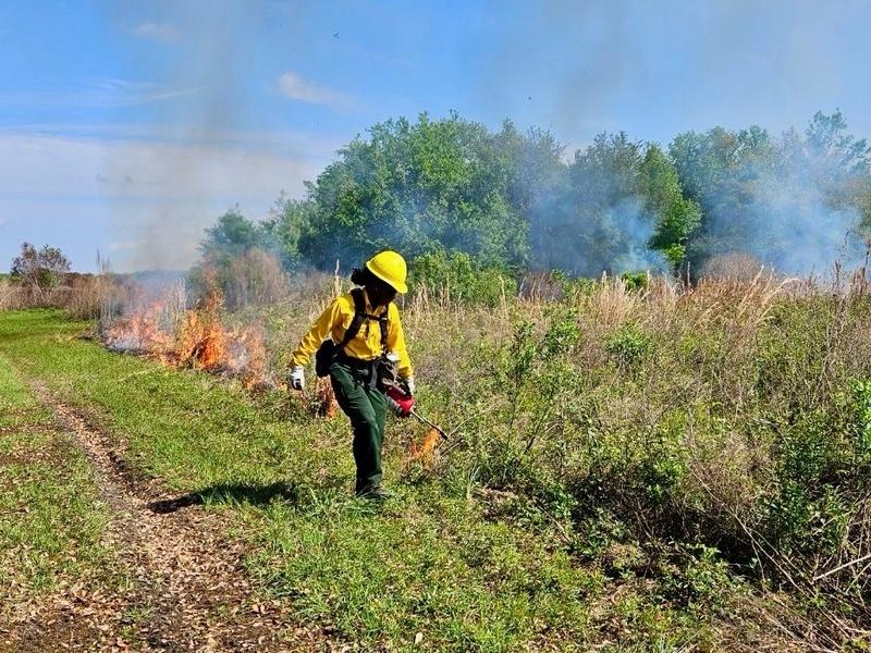 Paris Harris lays down prescribed fire 