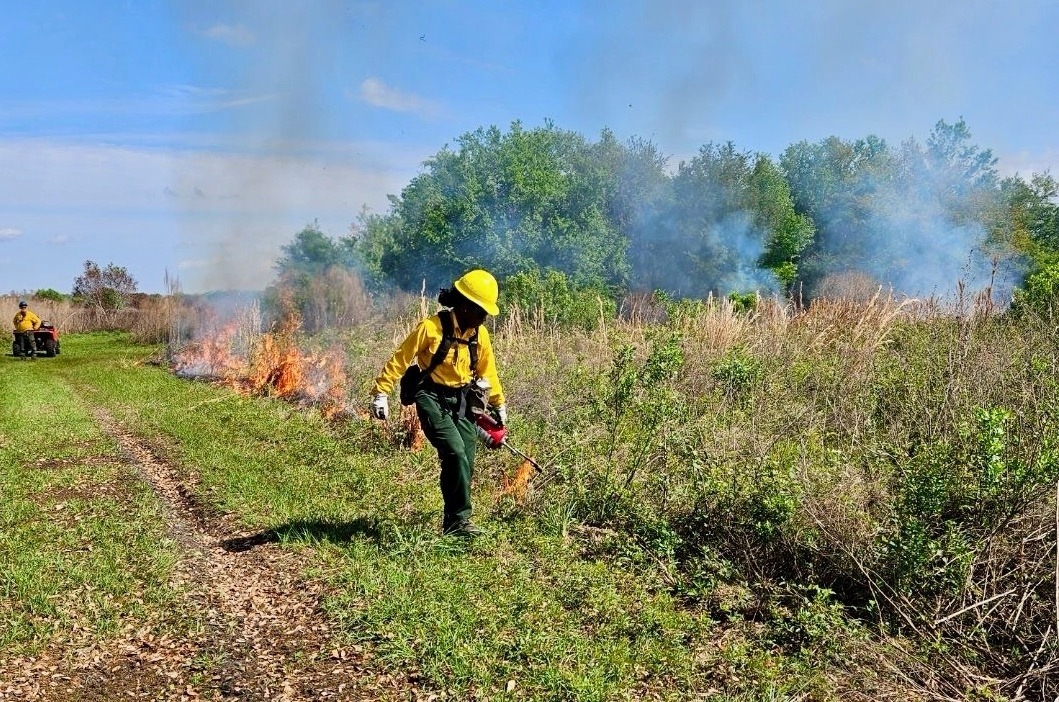 Paris Harris lays down prescribed fire during a spring break internship in Florida last March. Photo courtesy LaVell Rucker