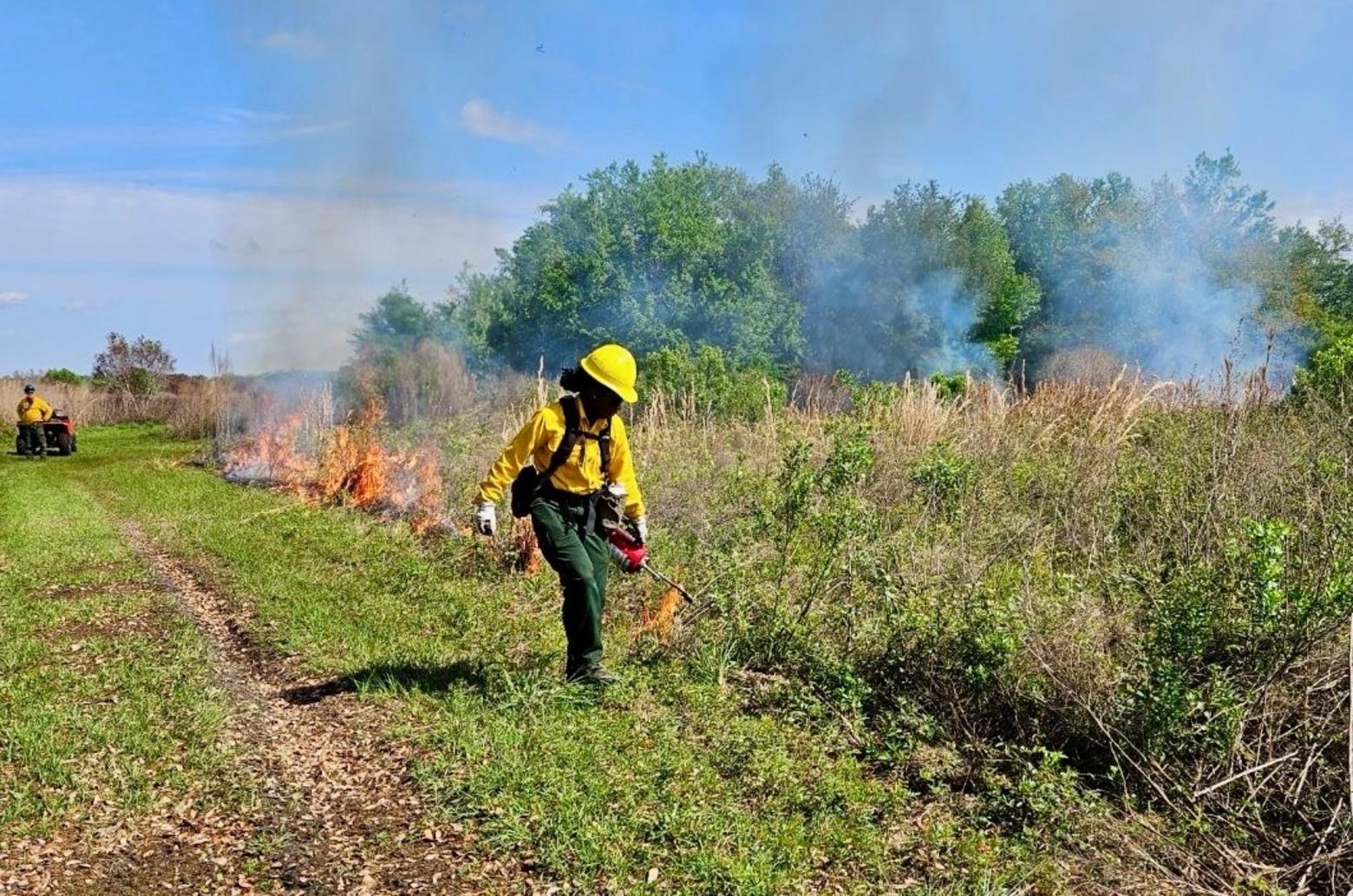 Paris Harris lays down prescribed fire during a spring break internship in Florida last March. Photo courtesy LaVell Rucker