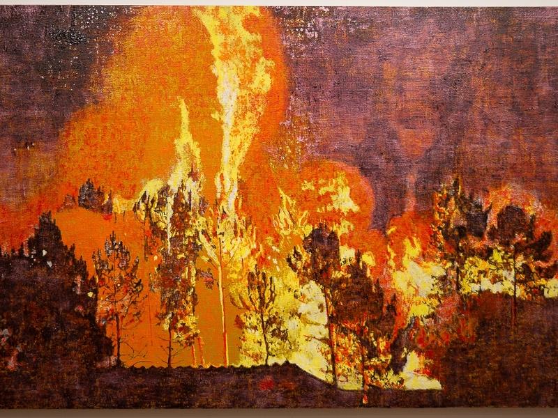 The powerful emotion of wildfire expressed through art