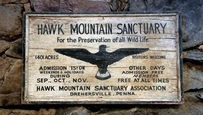 Photo courtesy Hawk Mountain Sanctuary