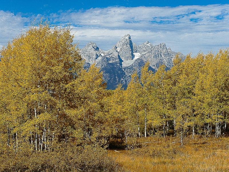 The Tetons adorned in autumn