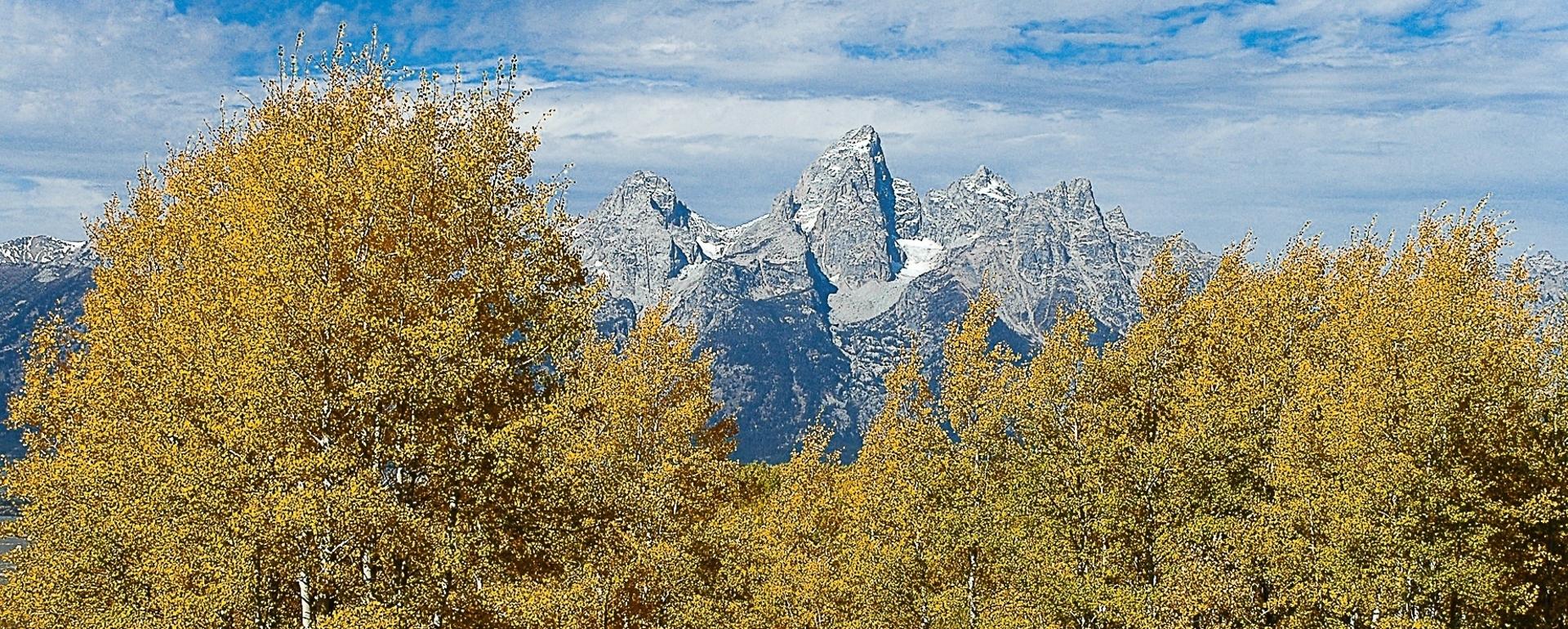 The Tetons adorned in autumn