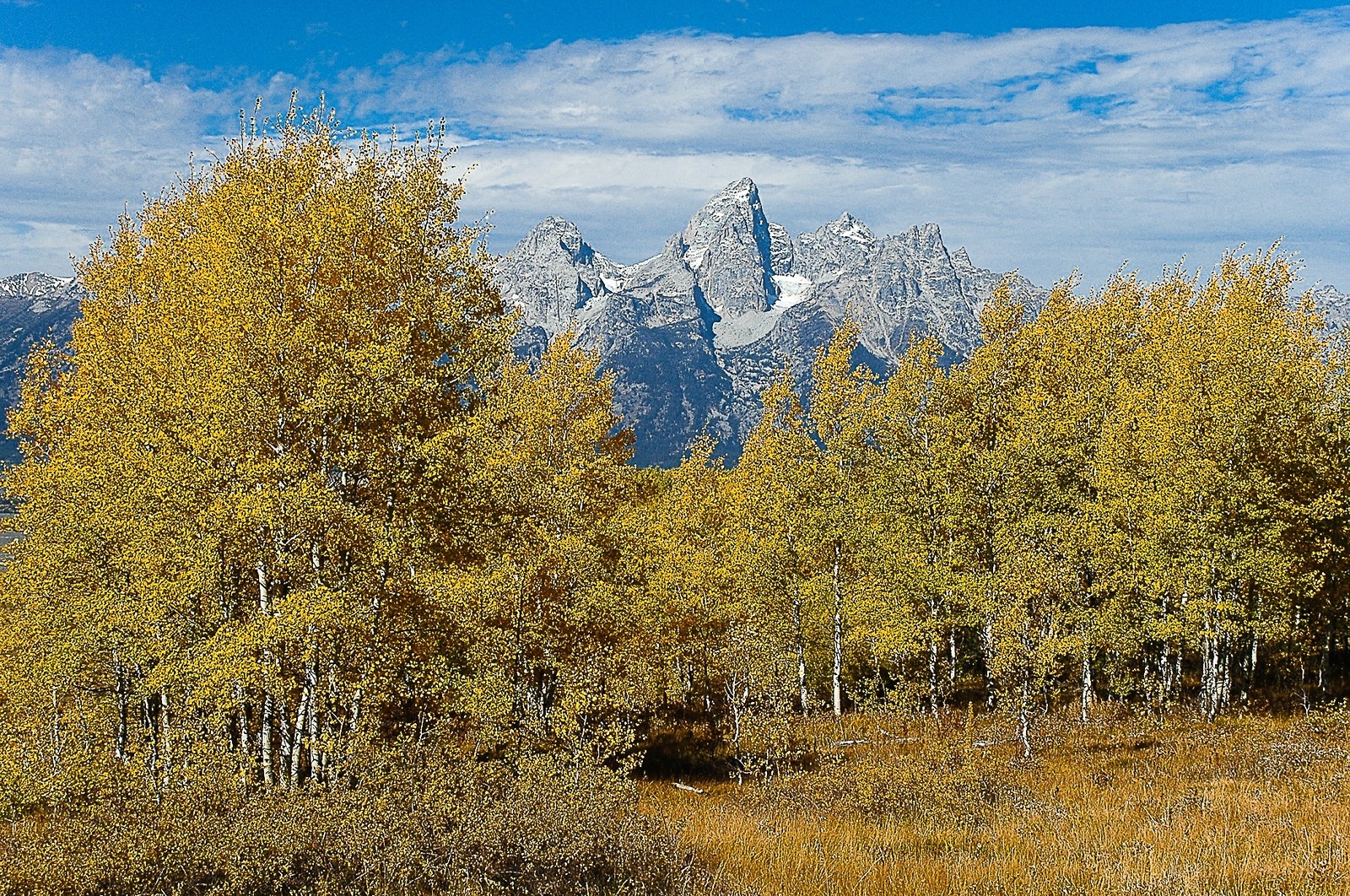 The Grand Tetons dressed in autumn glory.