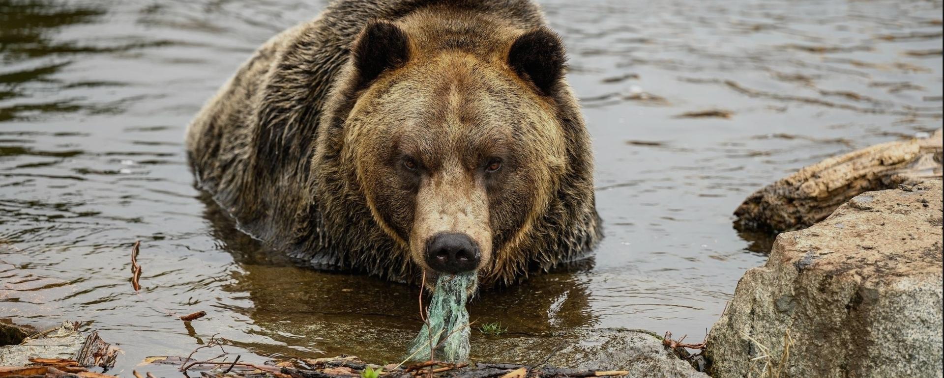 Microplastics exist in more than half of Montana's rivers and streams