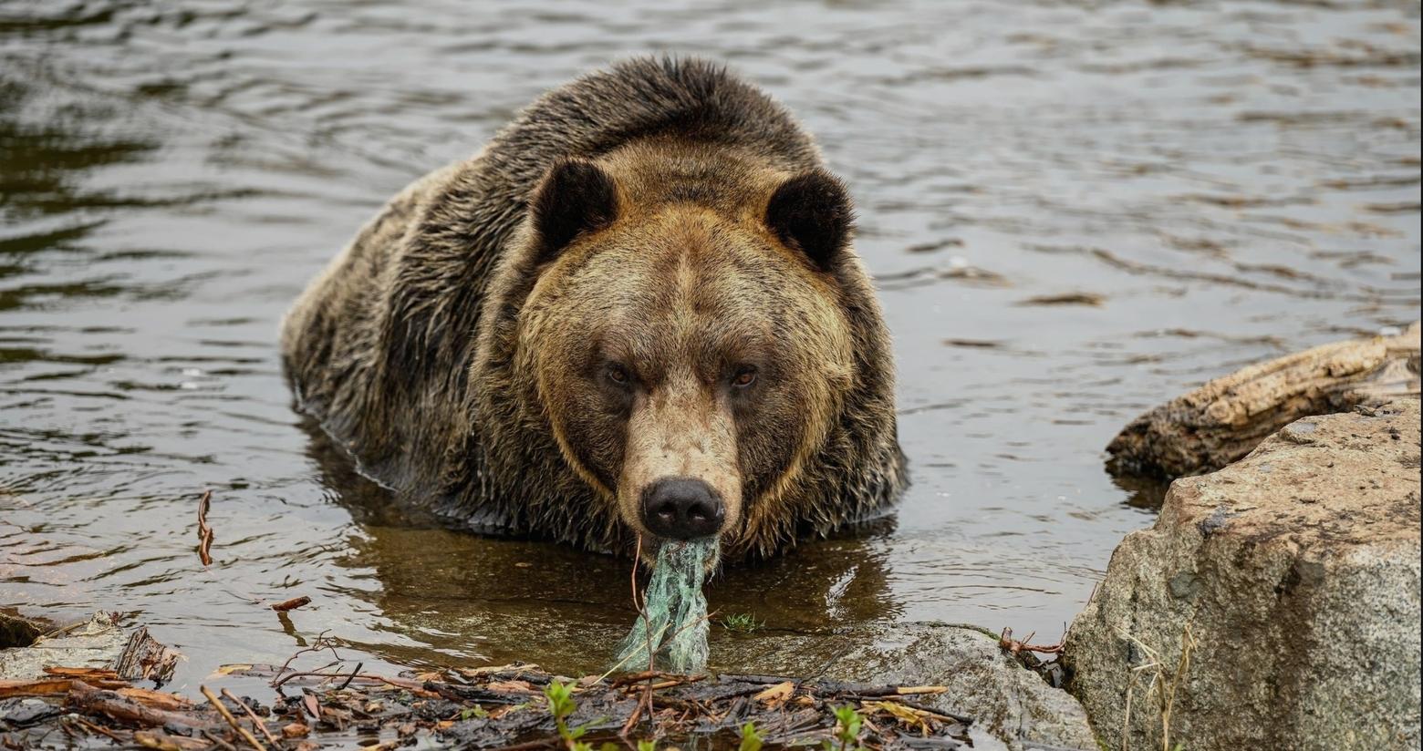 A report by an environmental research group in 2019 found that microplastics exist in more than half of the waterways in Montana. Photo courtesy Montana Plastic Free