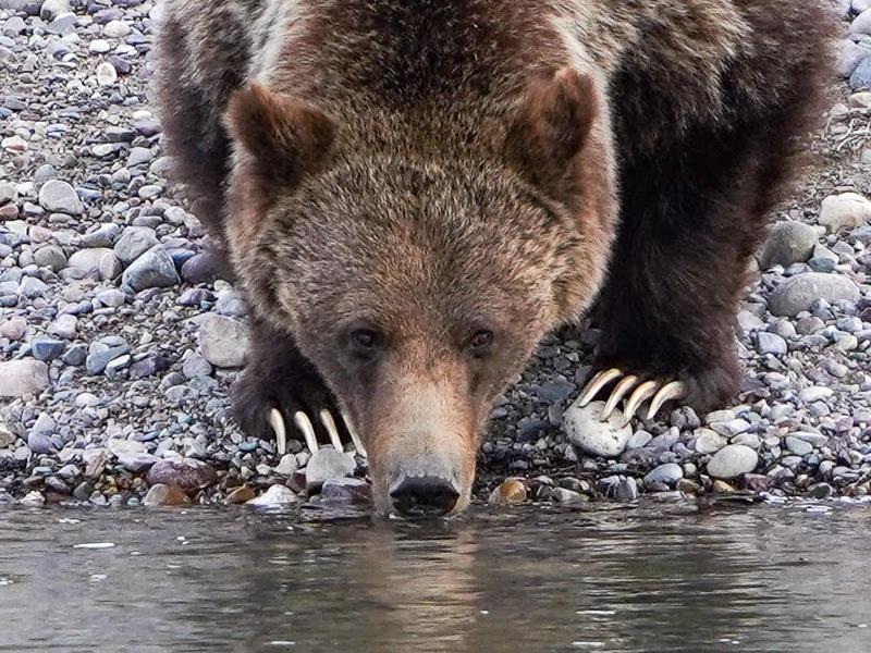 399 in Grand Teton National Park