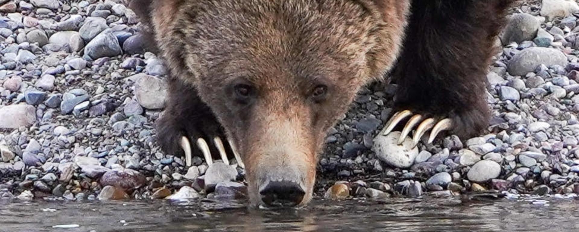 399 in Grand Teton National Park