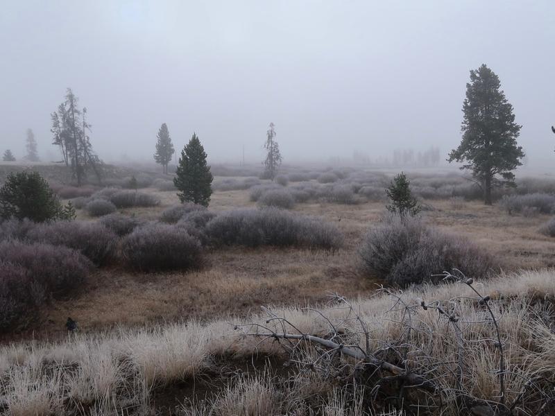 Spookiness in Yellowstone National Park