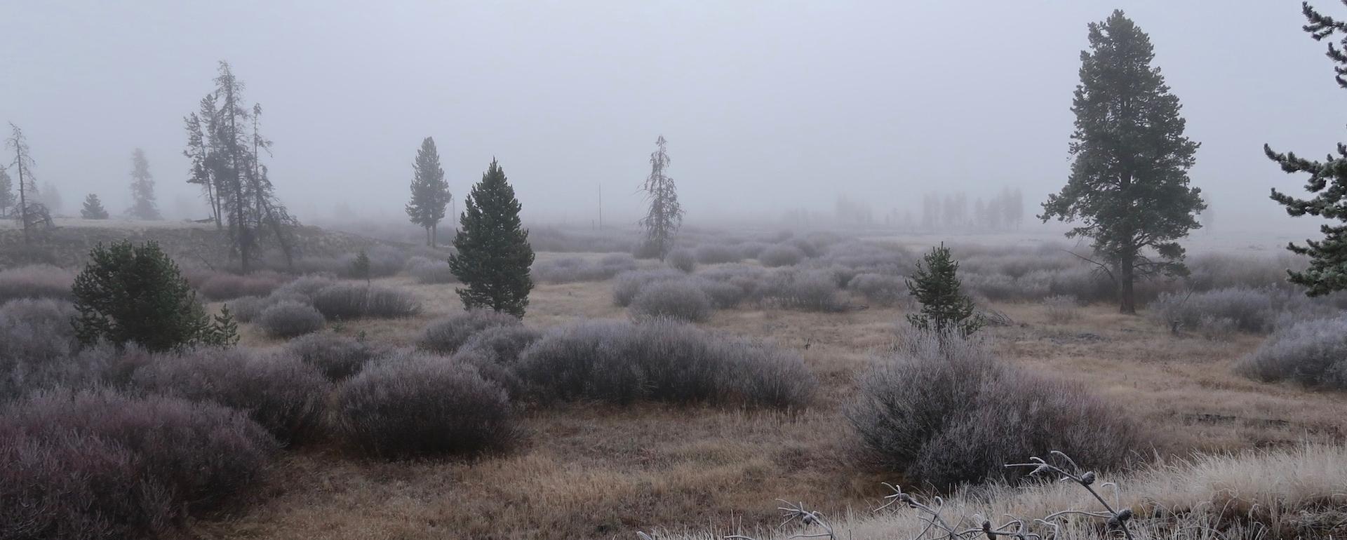 Spookiness in Yellowstone National Park