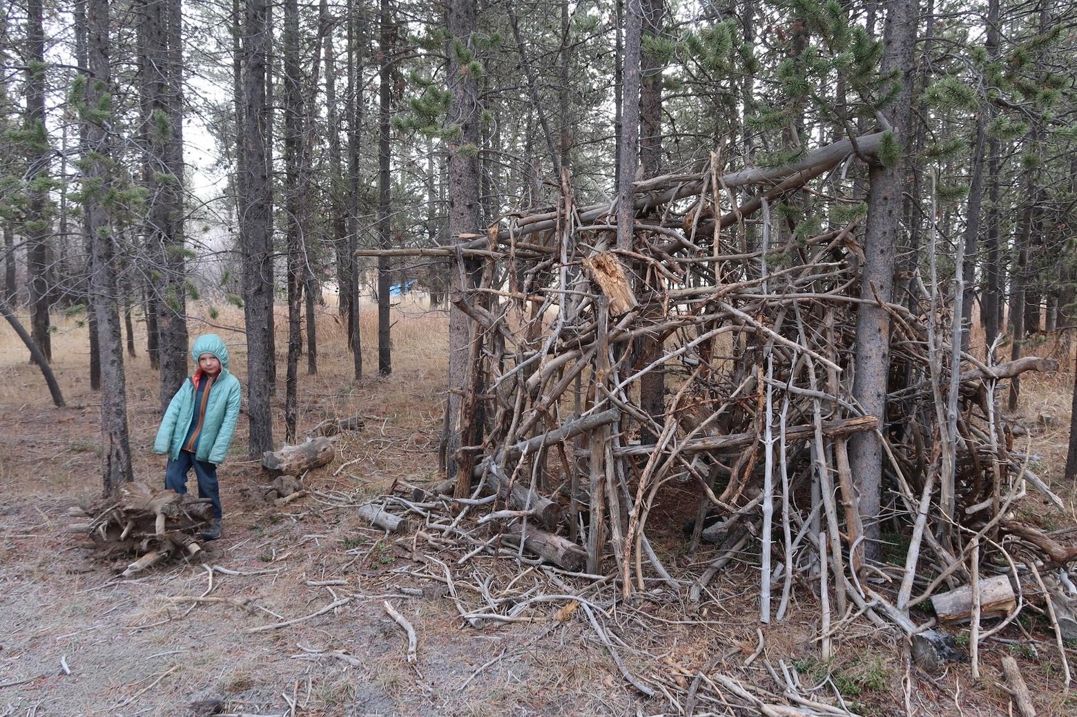 The author's son, Oren. A pile of sticks in the early morning fog and frost is whatever you want it to be. In this case, it's an armadillo castle.