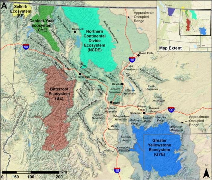 The study area encompassed ecosystems including the Northern Continental Divide, Cabinet-Yaak, Bitterroot, and Greater Yellowstone grizzly bear recovery zones and the current estimated occupied range of populations in and near the NCDE and GYE. Map courtesy Science Direct