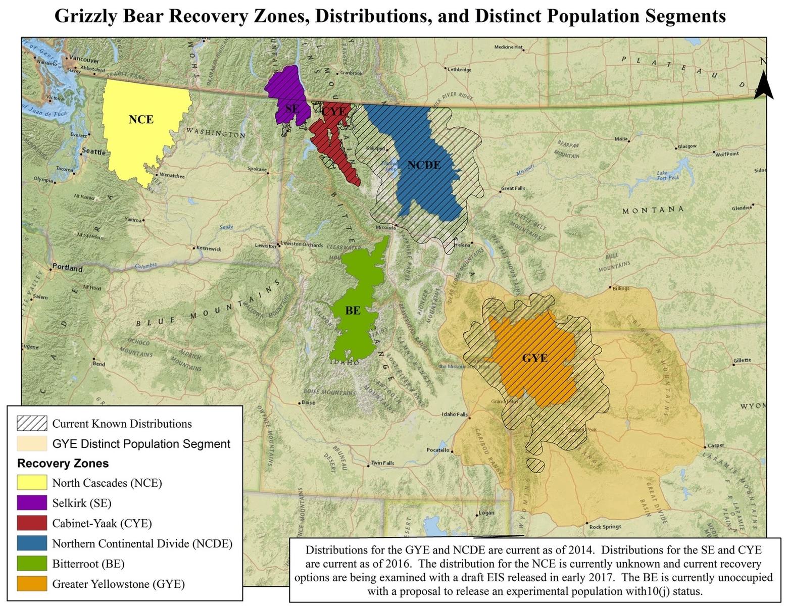 Current grizzly bear recovery zones and distinct populations. The Greater Yellowstone and Northern Continental Divide ecosystems contain the largest grizzly populations. Map courtesy Interagency Grizzly Bear Committee