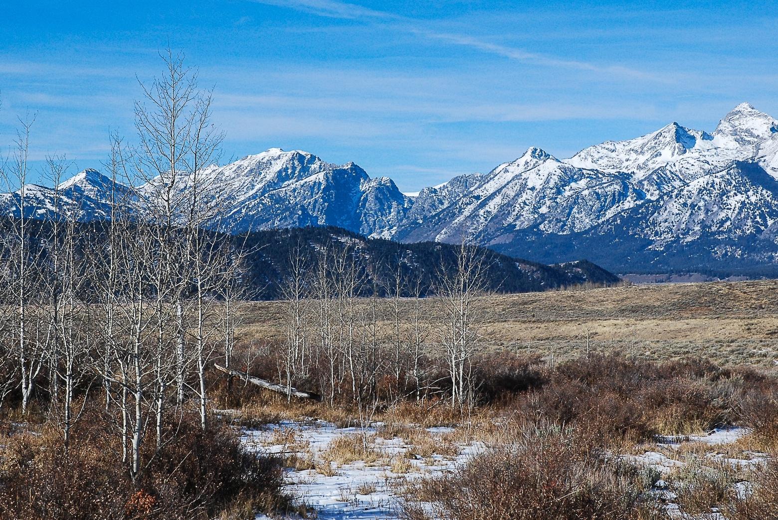 Late fall descends on Jackson Hole, Wyoming. As winter creeps in, we can decide to late the cold in or to be strong like the aspen. Photo by Susan Marsh