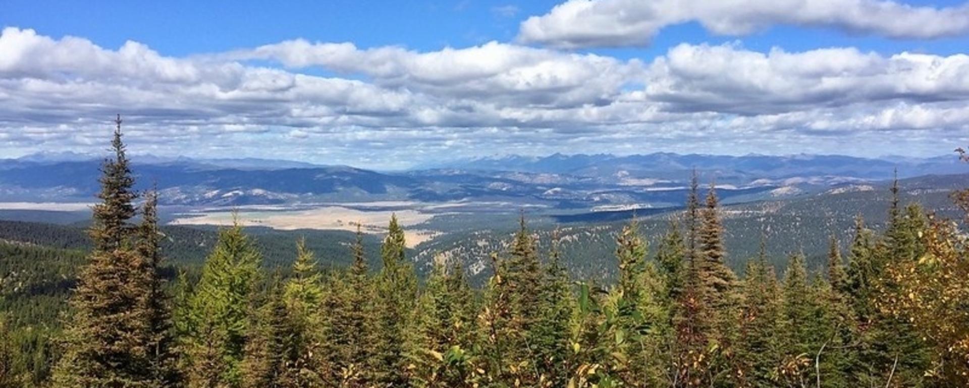 BLM's logging project will focus on nearly 17,000 acres in the Garnet Mountains 