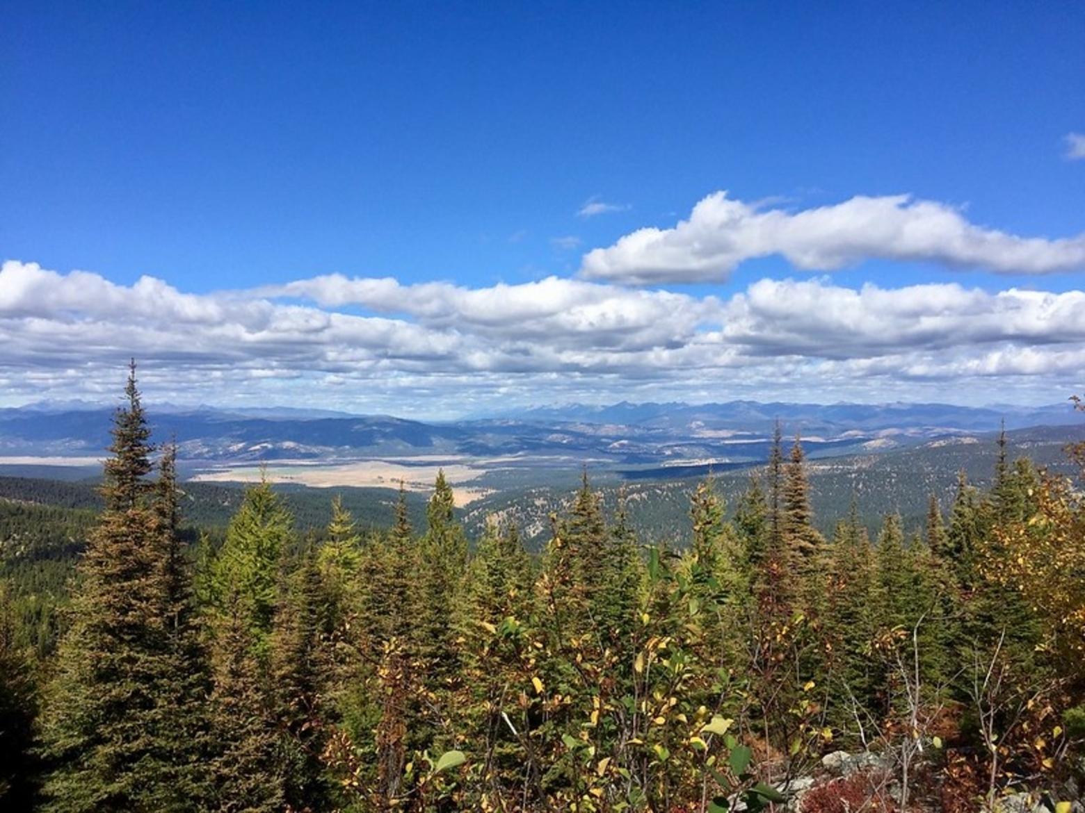 The BLM project calls for thinning and fuels reduction efforts on nearly 17,000 acres in western Montana's Garnet Mountains. Photo by Samantha Storms/BLM