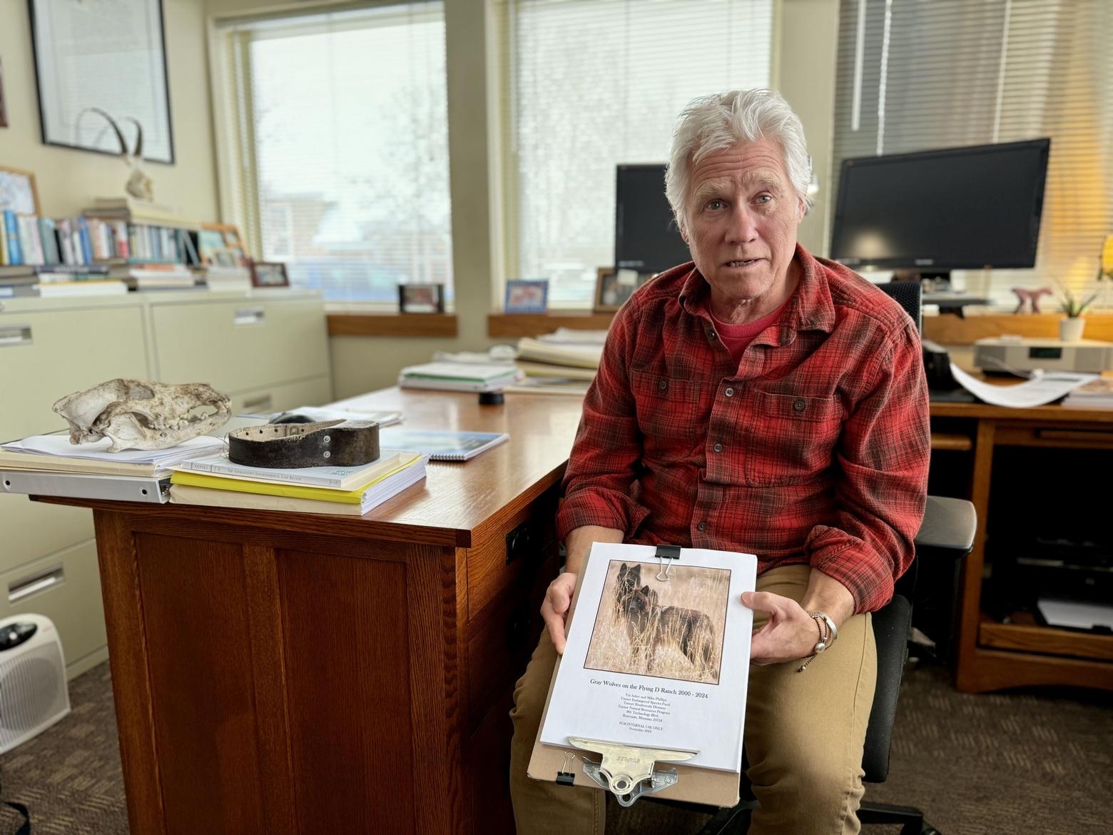 Mike Phillips has spent much of his career as a wildlife biologist working on wolf recovery. Prior to founding the Turner Endangered Species Fund, Phillips led Yellowstone National Park’s wolf recovery Program. Photo by Amanda Eggert/MTFP