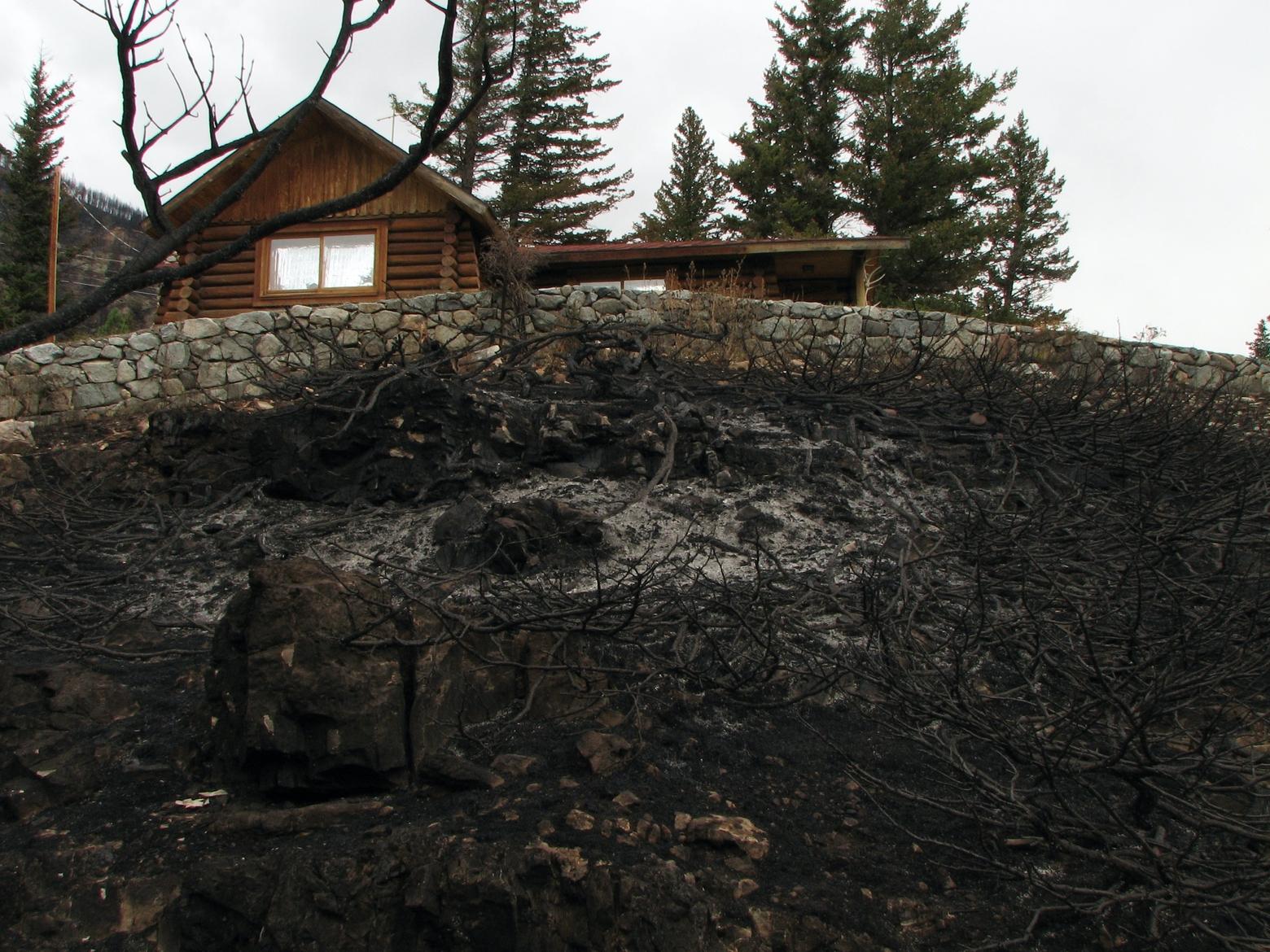 The Hjortsberg's family cabin remained intact above charred ground following the 2006 Jungle Fire. Photo courtesy Max Hjortsberg