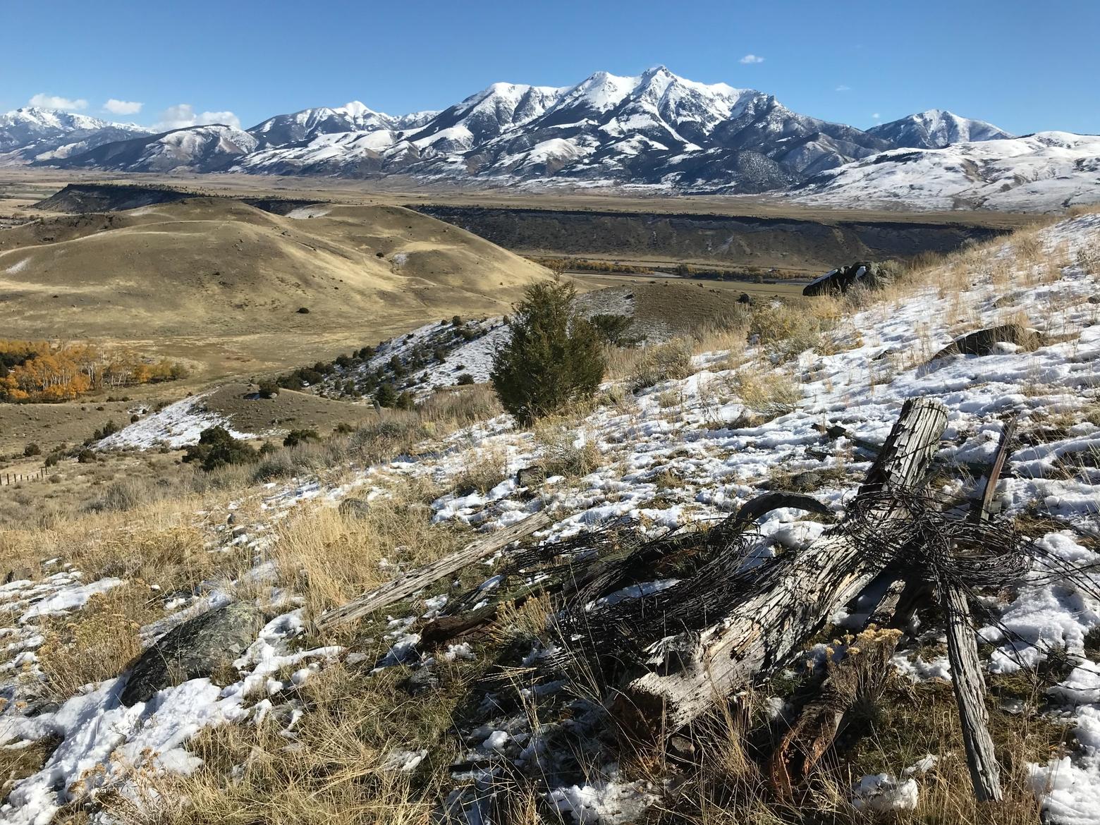 Decrepit barbed-wire fencing lies in a heap as the Absaroka Range rises above Paradise Valley. Photo by Whitney Tilt