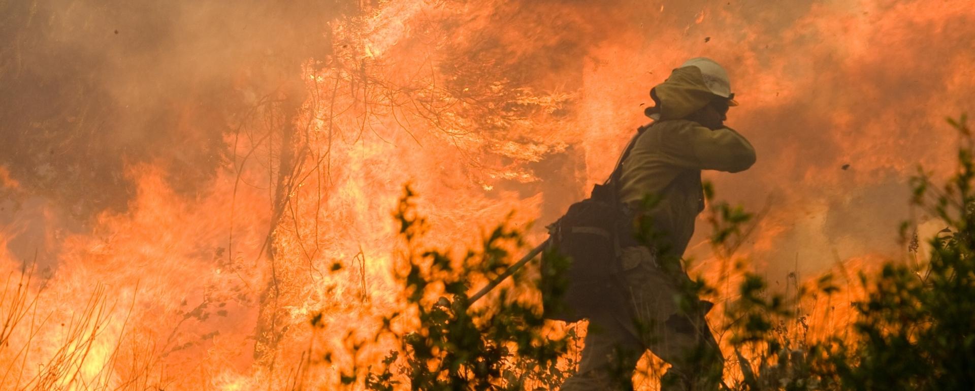 The federal government employs as many as 10,000 wildland firefighters each year. With hiring freezes in place nationwide, fire season is in limbo