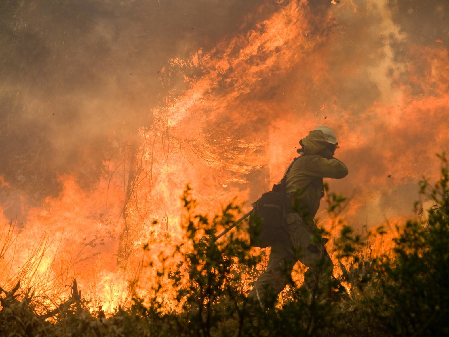 A wildland firefighter works a two-day burn operation on the Elk Wildfire Complex in Idaho in 2013. The Sliver City Hotshots, Craig Hotshots and Ironwood Hotshots were on the fireline. Each of the crews is part of the federal firefighting effort. Photo by Kari Greer