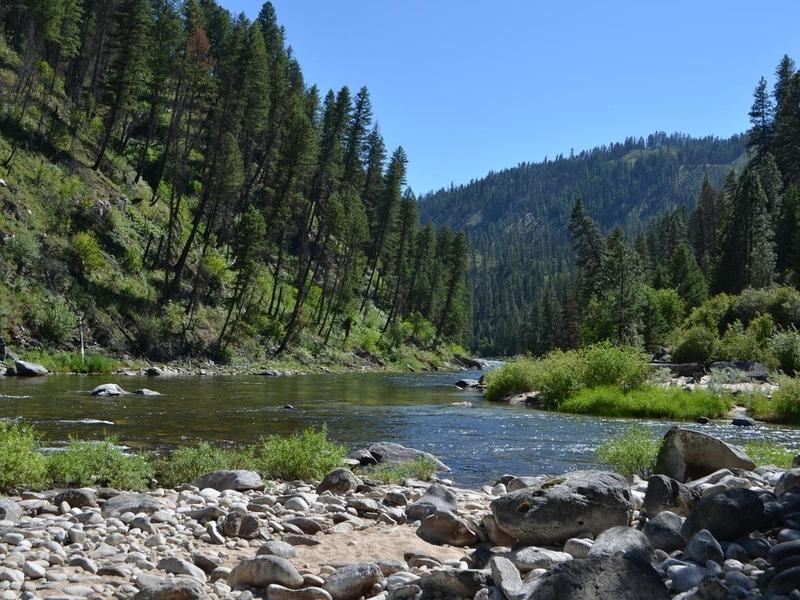 The South Fork of the Salmon River flows near the Frank Church-River of No Return Wilderness