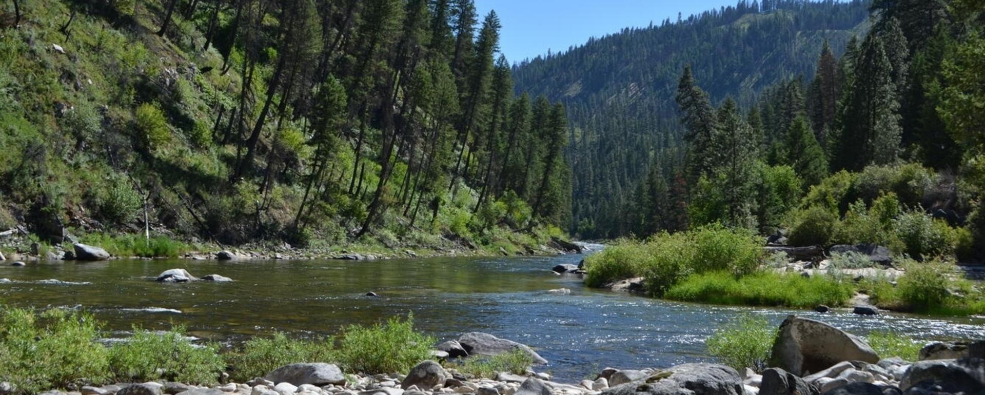 The South Fork of the Salmon River flows near the Frank Church-River of No Return Wilderness