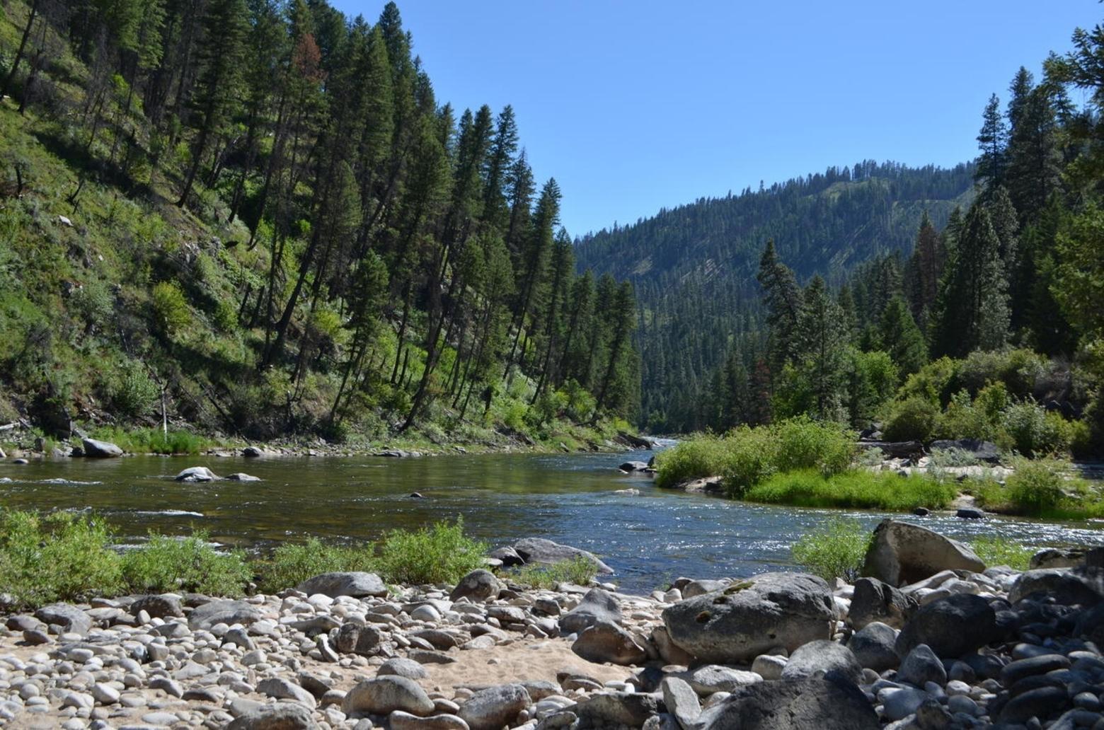 The South Fork of the Salmon River runs adjacent to the 2.4-million-acre Frank Church-River of No Return Wilderness. Conservation groups are concerned for the waterway and area wildlife and filed notice to sue the Forest Service and other agencies over greenlighting the Stibnite Mine project. Photo by JoAnn Holloway/USGS