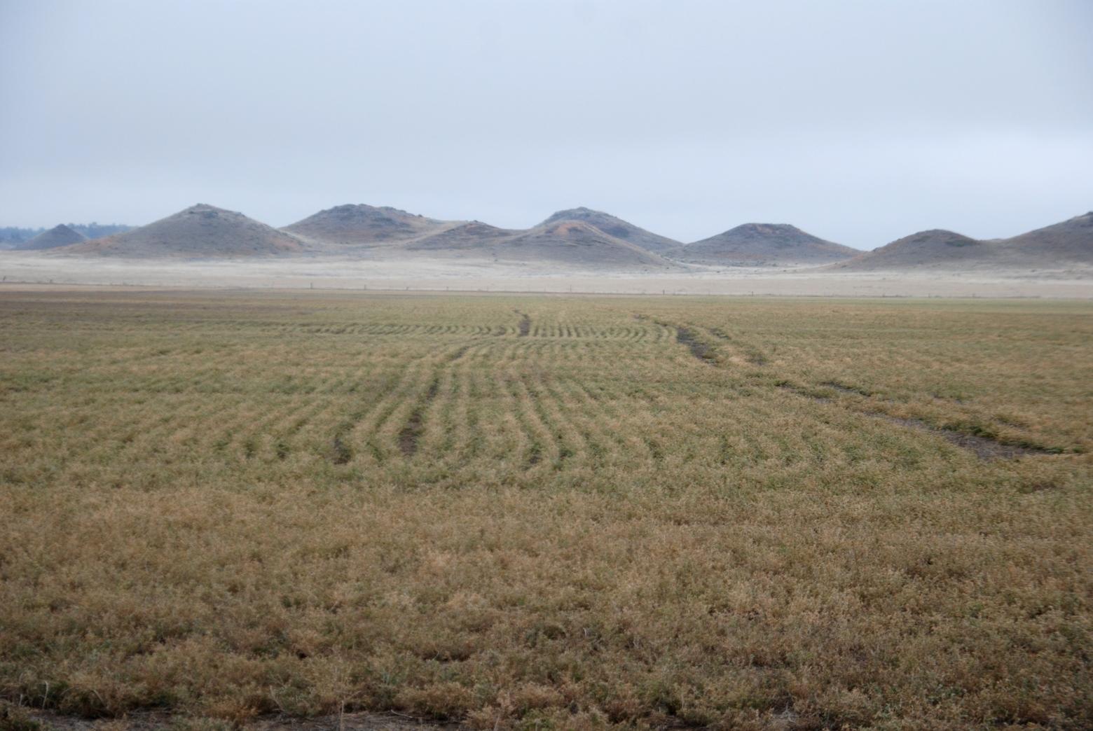 Broadus, Montana, in the eastern part of the state, holds many of FWP's current conservation leases. Photo by Lisa Ballard