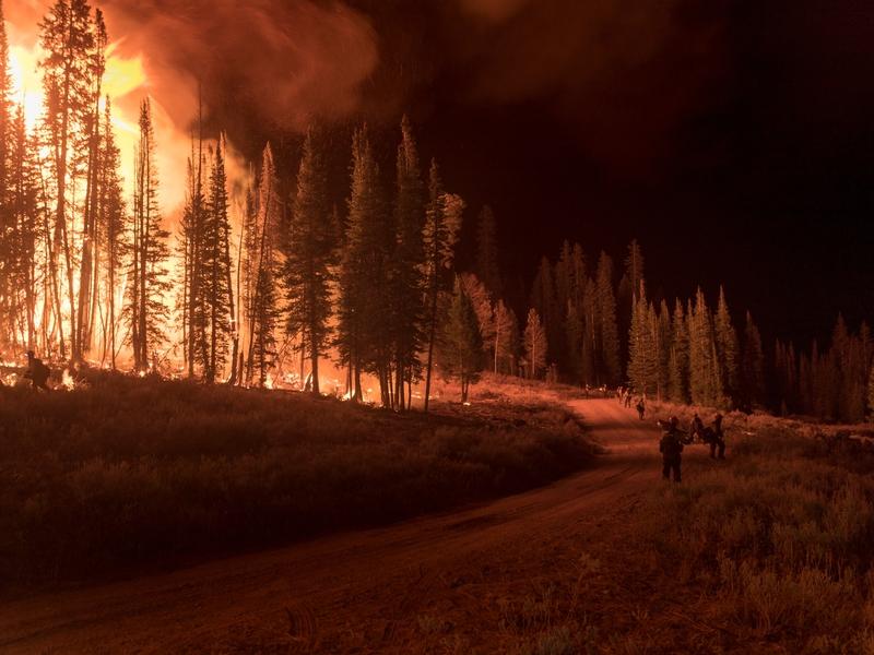 Firefighters hold the line at the September 2018 Roosevelt Fire near Bondurant, Wyoming