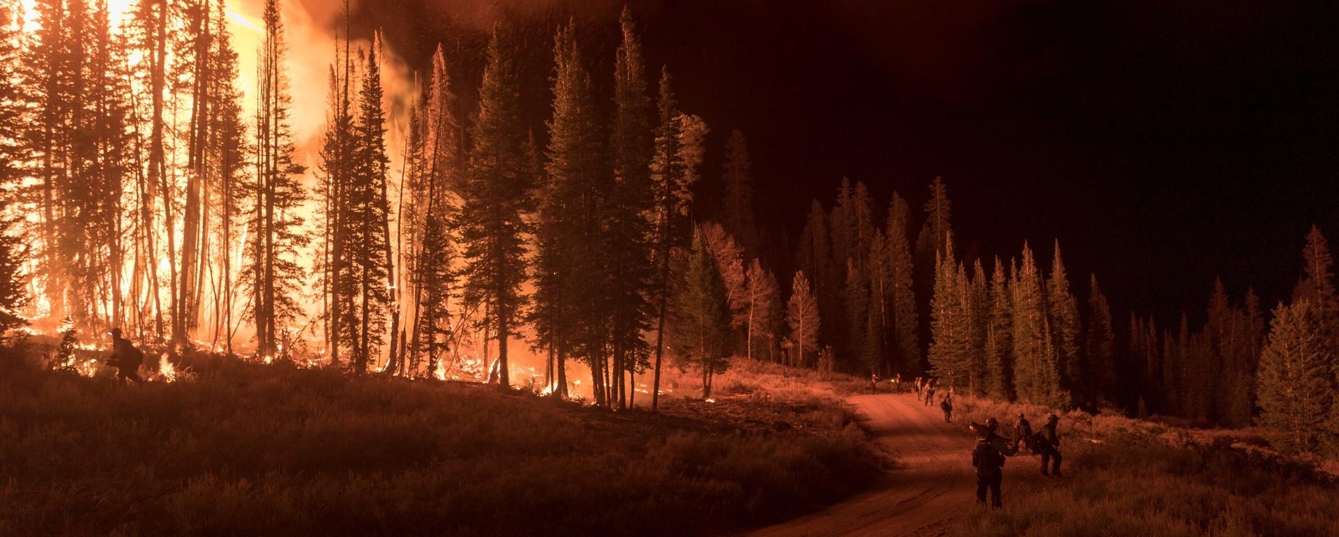 Firefighters hold the line at the September 2018 Roosevelt Fire near Bondurant, Wyoming