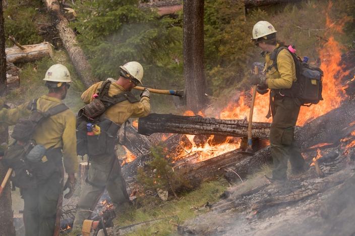 The Cedar City Hotshots work the heat at the 2019 Vader Fire on the Salmon-Challis National Forest, Idaho. Photo by Kari Greet