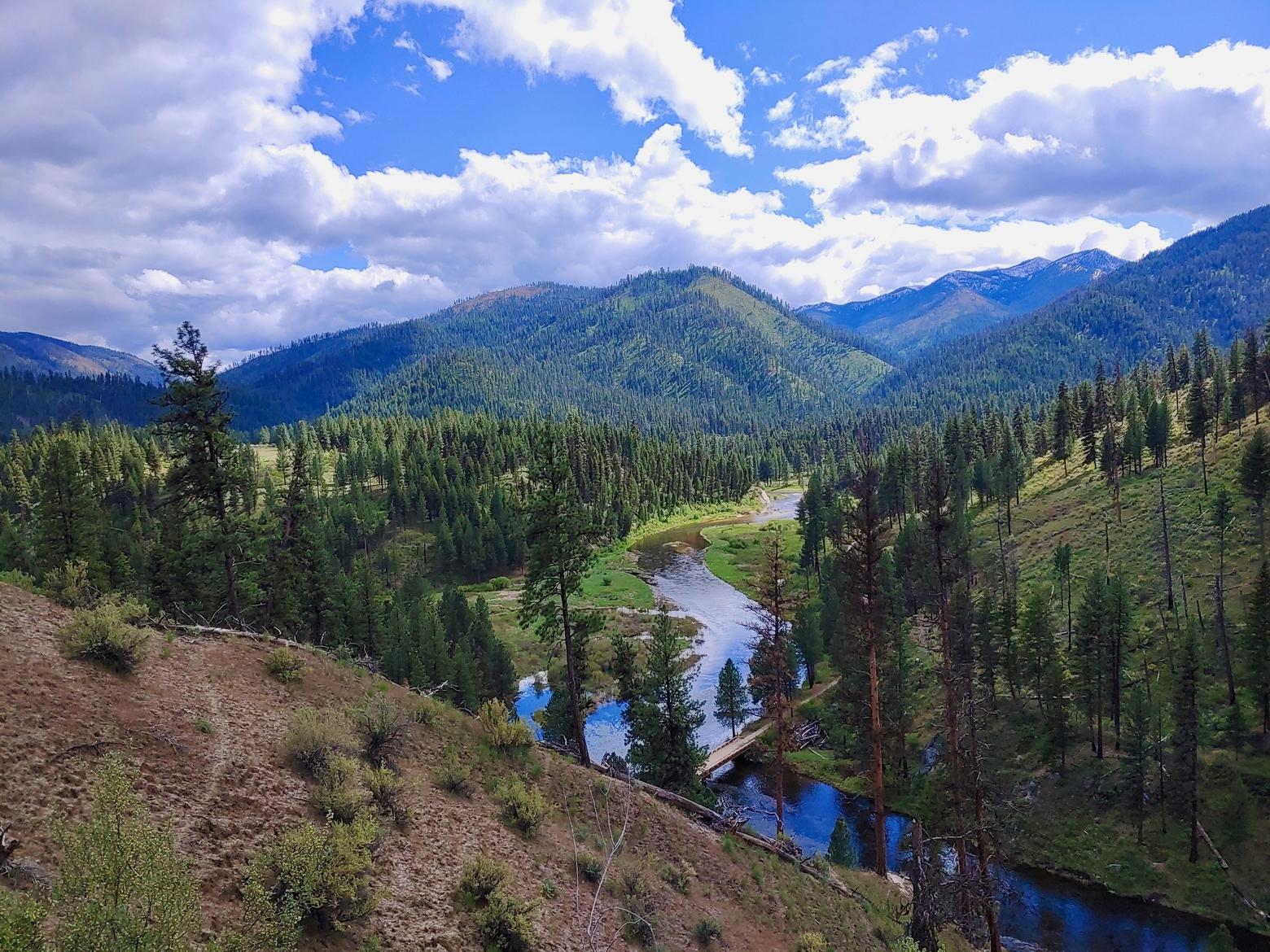 The South Fork of the Salmon River drainage, one of author CMarie Fuhrman's favorite places in the world, and one representing Indigenous culture, strength and resilience. Photo by CMarie Fuhrman