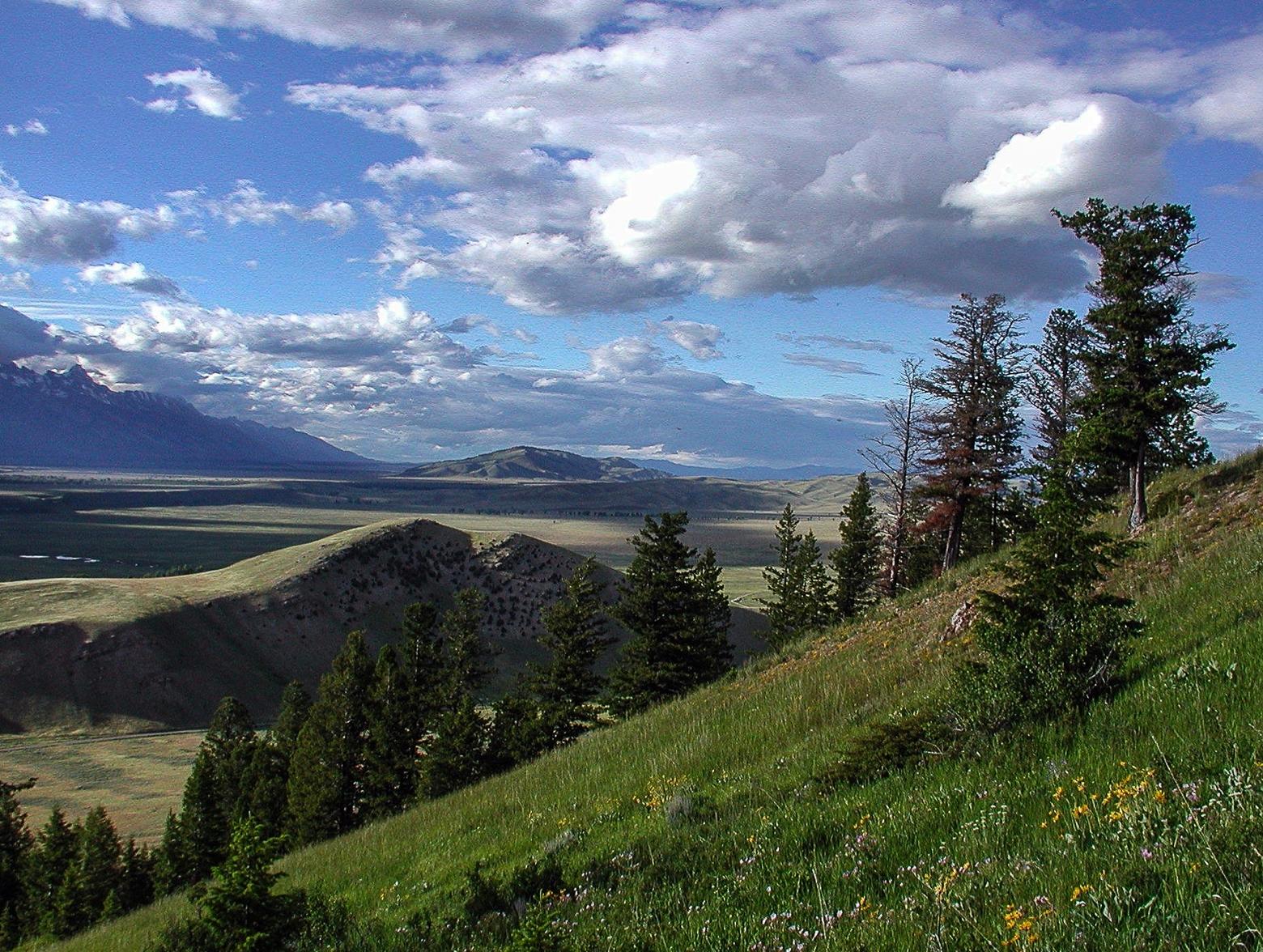 View to the National Elk Refuge and Grand Teton National Park from the Bridger-Teton National Forest. Photo by Susan Marsh