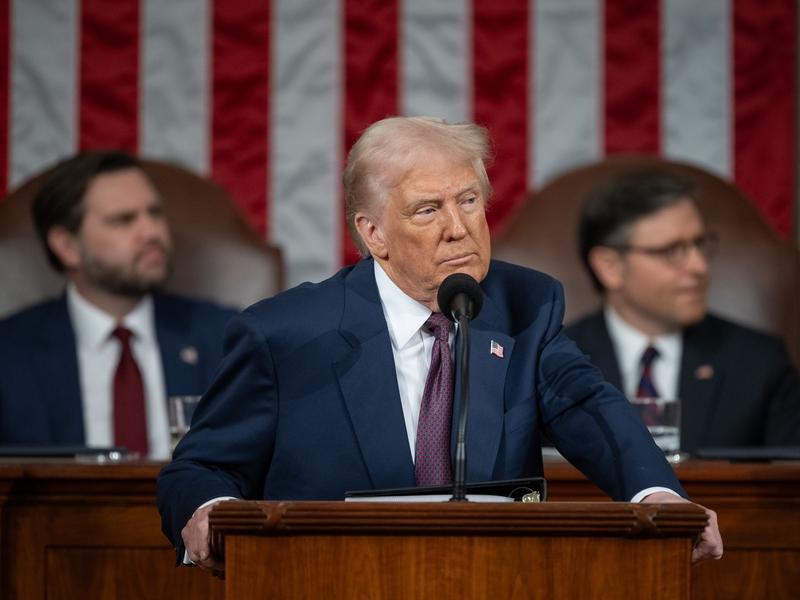 Trump delivered a joint address to Congress: "Drill, baby, drill."