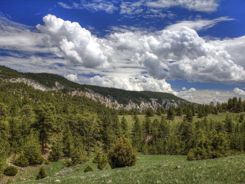 The Bureau of Land Management oversees 245 million acres of public land across the country