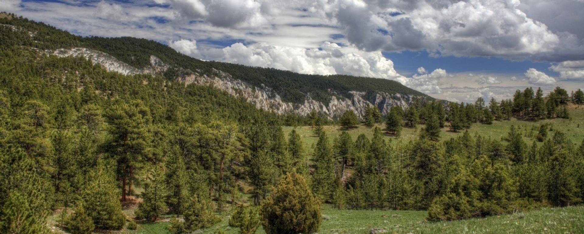 The Bureau of Land Management oversees 245 million acres of public land across the country