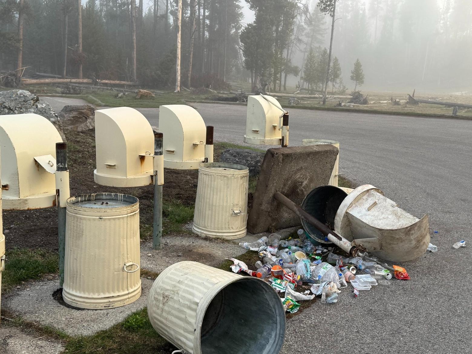The Yellowstone grizzly overturned bear-resistant recycling containers, uprooting them from their concrete foundations in Nez Perce Picnic Area. Photo by Allan Barker/NPS