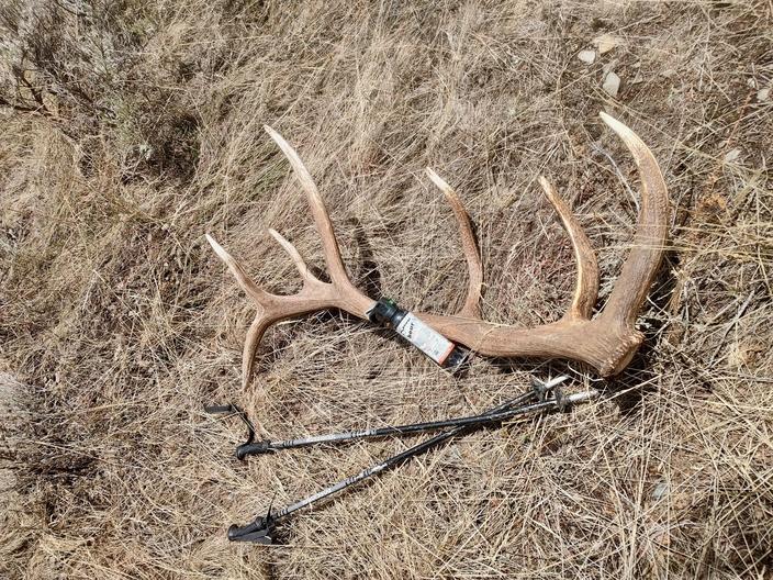 A shed David found pictured with his hiking poles and bear spray, which he doesn't leave without after being charged by a grizzly bear in 2023. Photo courtesy Keegan David