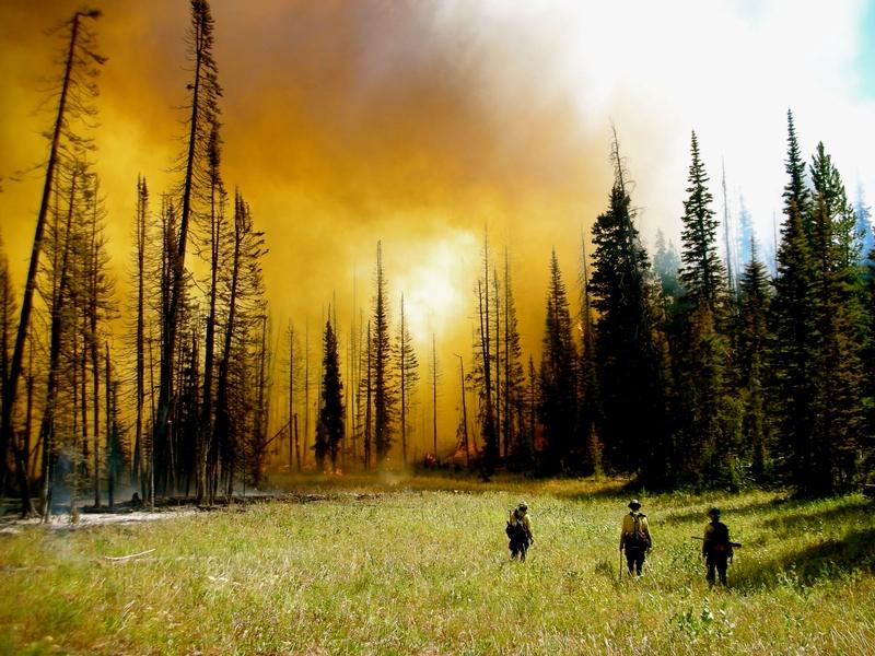 Wildland firefighters look on as the Forest Service faces an uncertain future