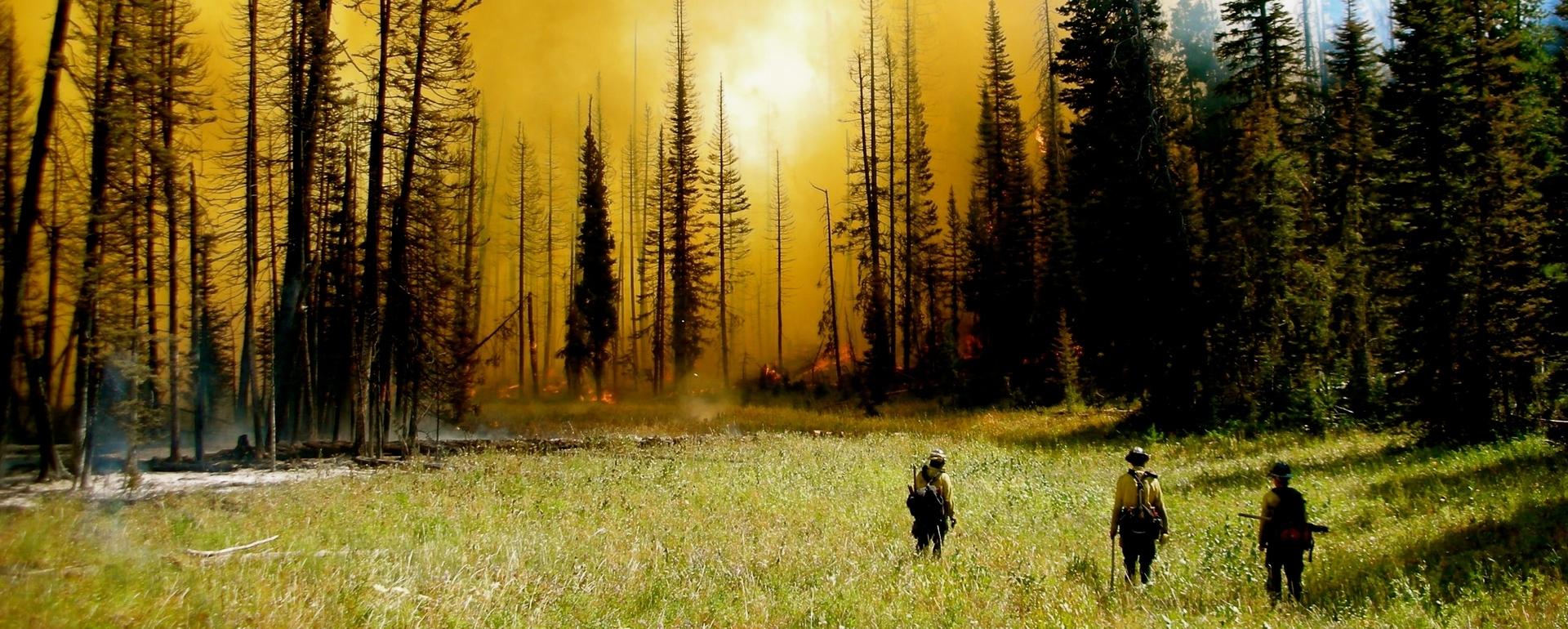 Wildland firefighters look on as the Forest Service faces an uncertain future