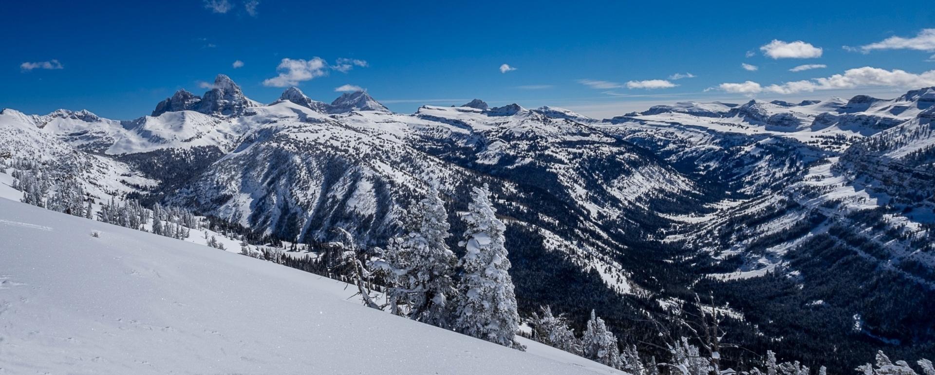 Looking southeast from Grand Targhee's South Bowl