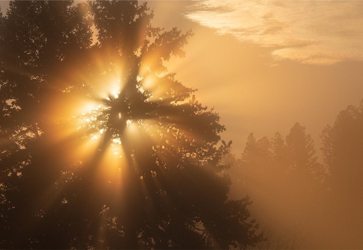 The beauty of Greater Yellowstone