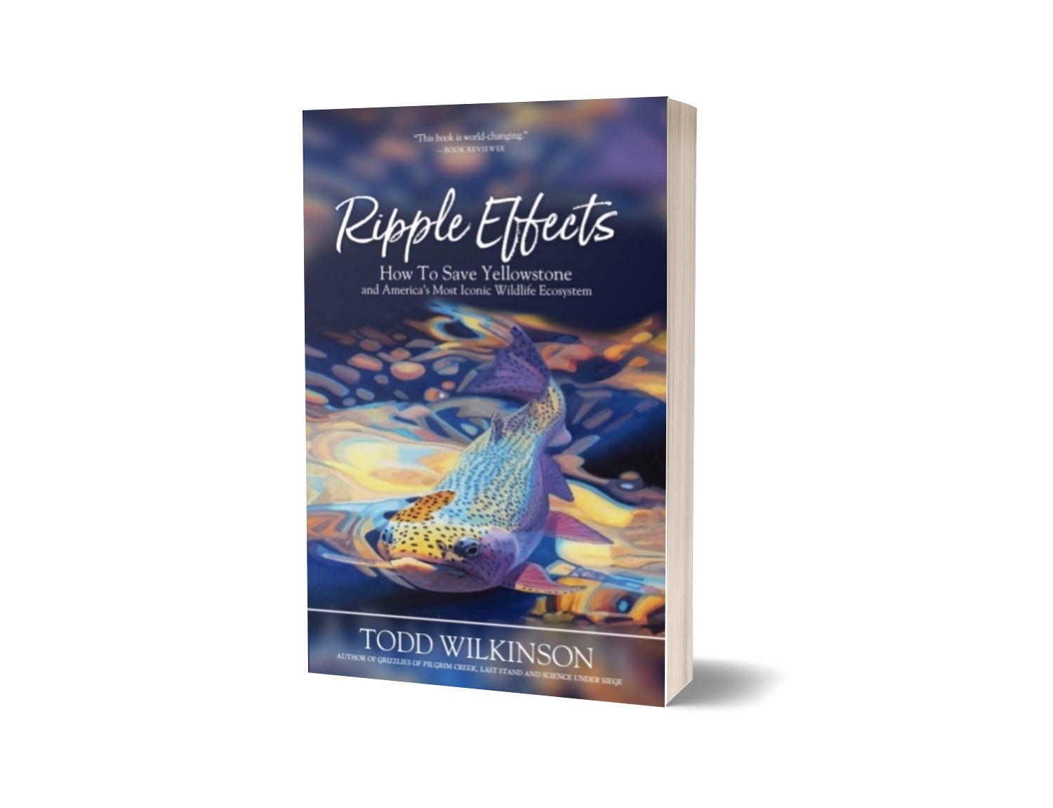 Ripple Effects Book Cover